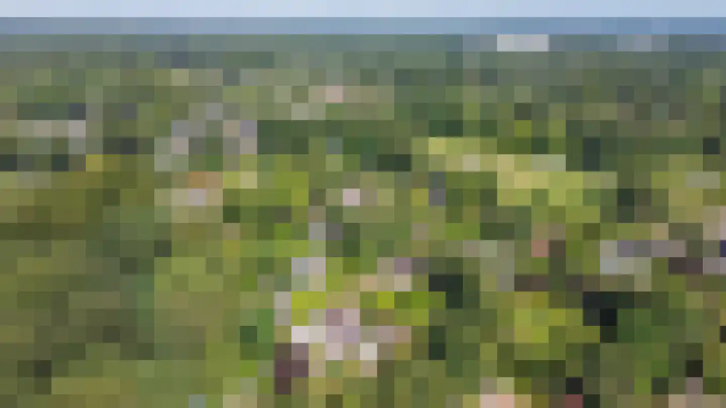 Lange Zuiderweg 134 32 Voorthuizen thumbnail 30