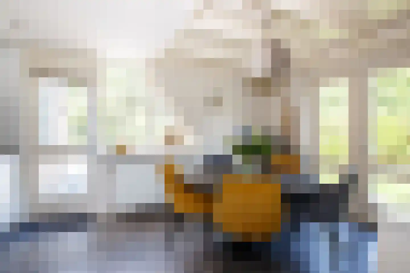 Lange Zuiderweg 134 32 Voorthuizen thumbnail 6