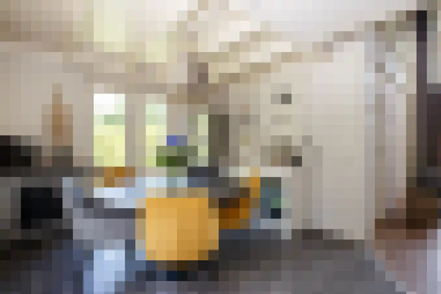 Lange Zuiderweg 134 32 Voorthuizen thumbnail 7