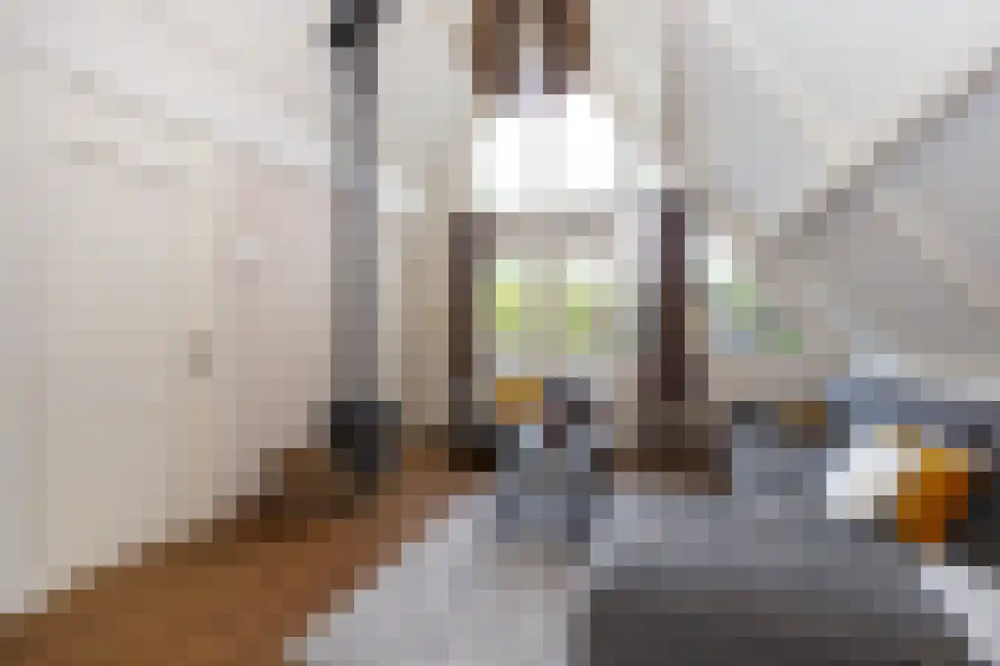 Lange Zuiderweg 134 32 Voorthuizen thumbnail 9