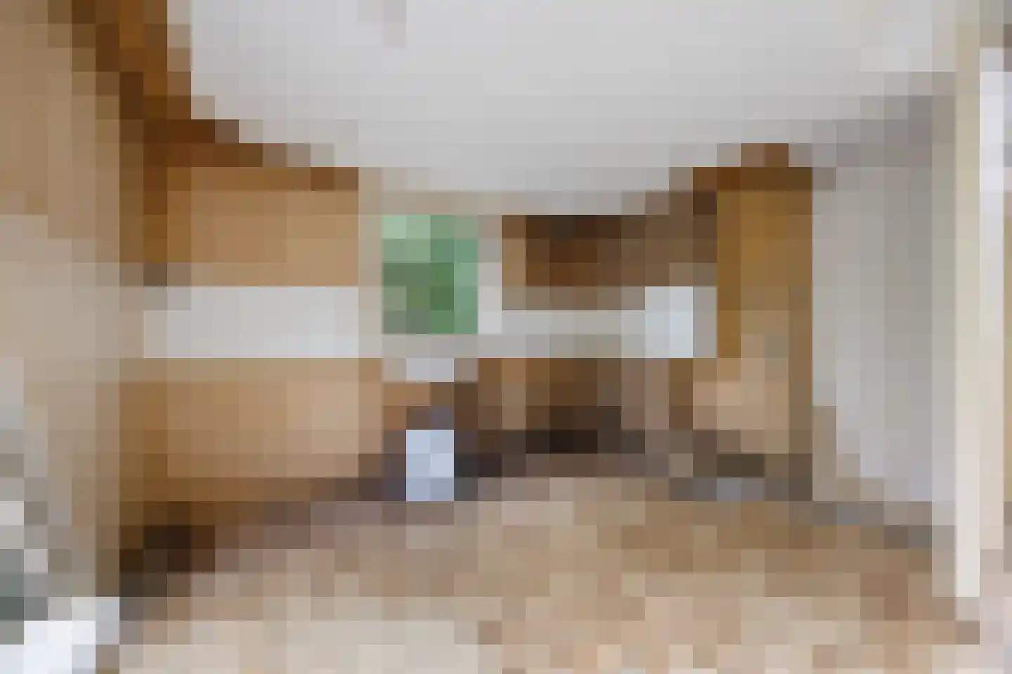 Lange Zuiderweg 134 58 Voorthuizen thumbnail 10
