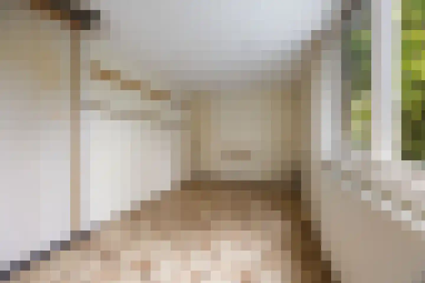 Lange Zuiderweg 134 58 Voorthuizen thumbnail 12