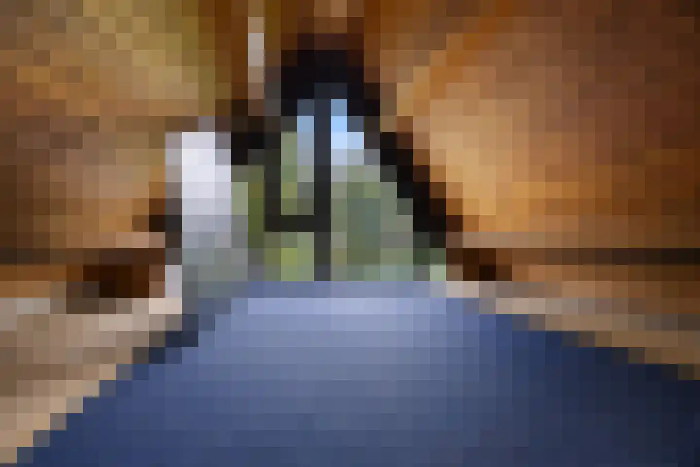 Lange Zuiderweg 134 58 Voorthuizen thumbnail 20