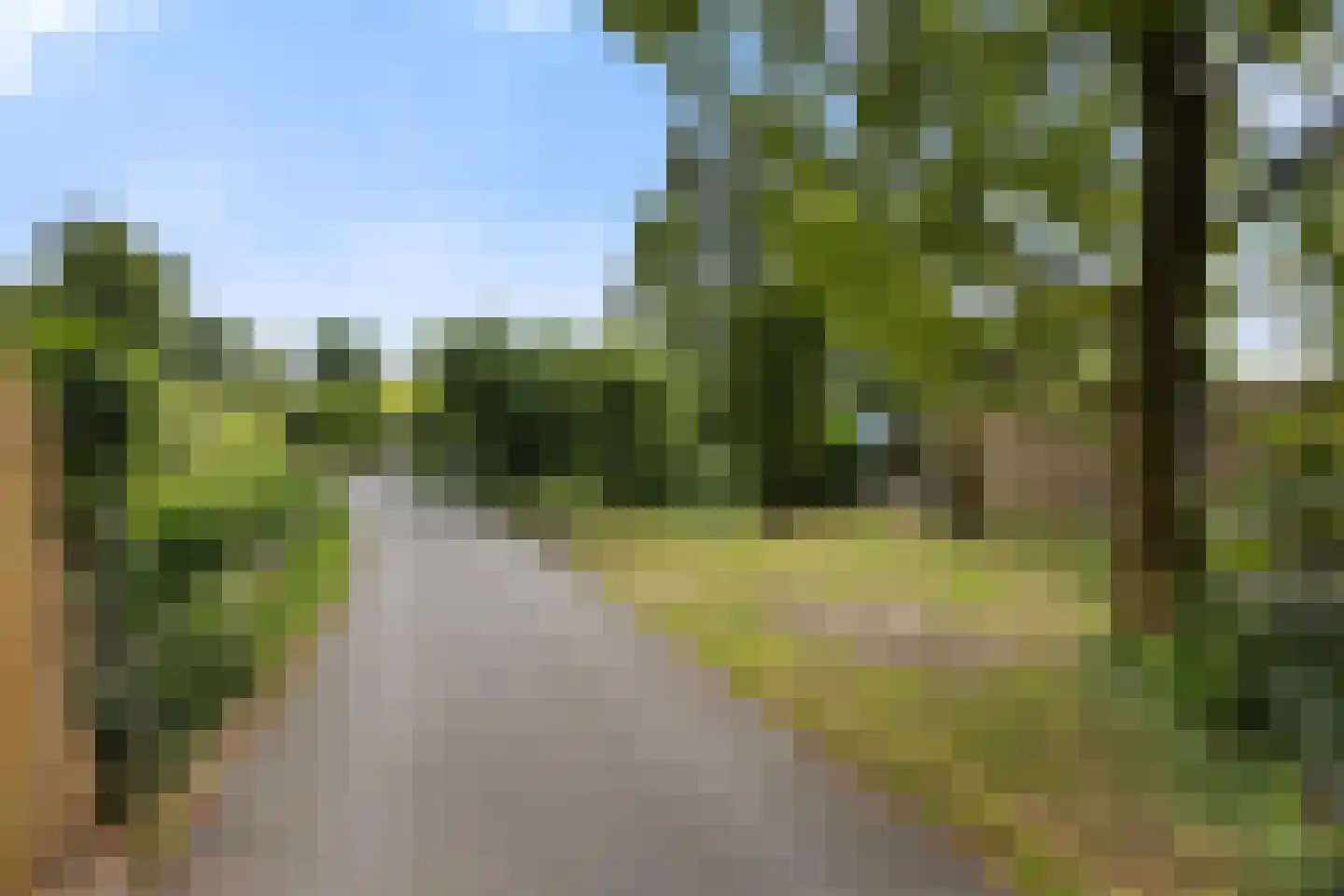 Lange Zuiderweg 134 58 Voorthuizen thumbnail 25