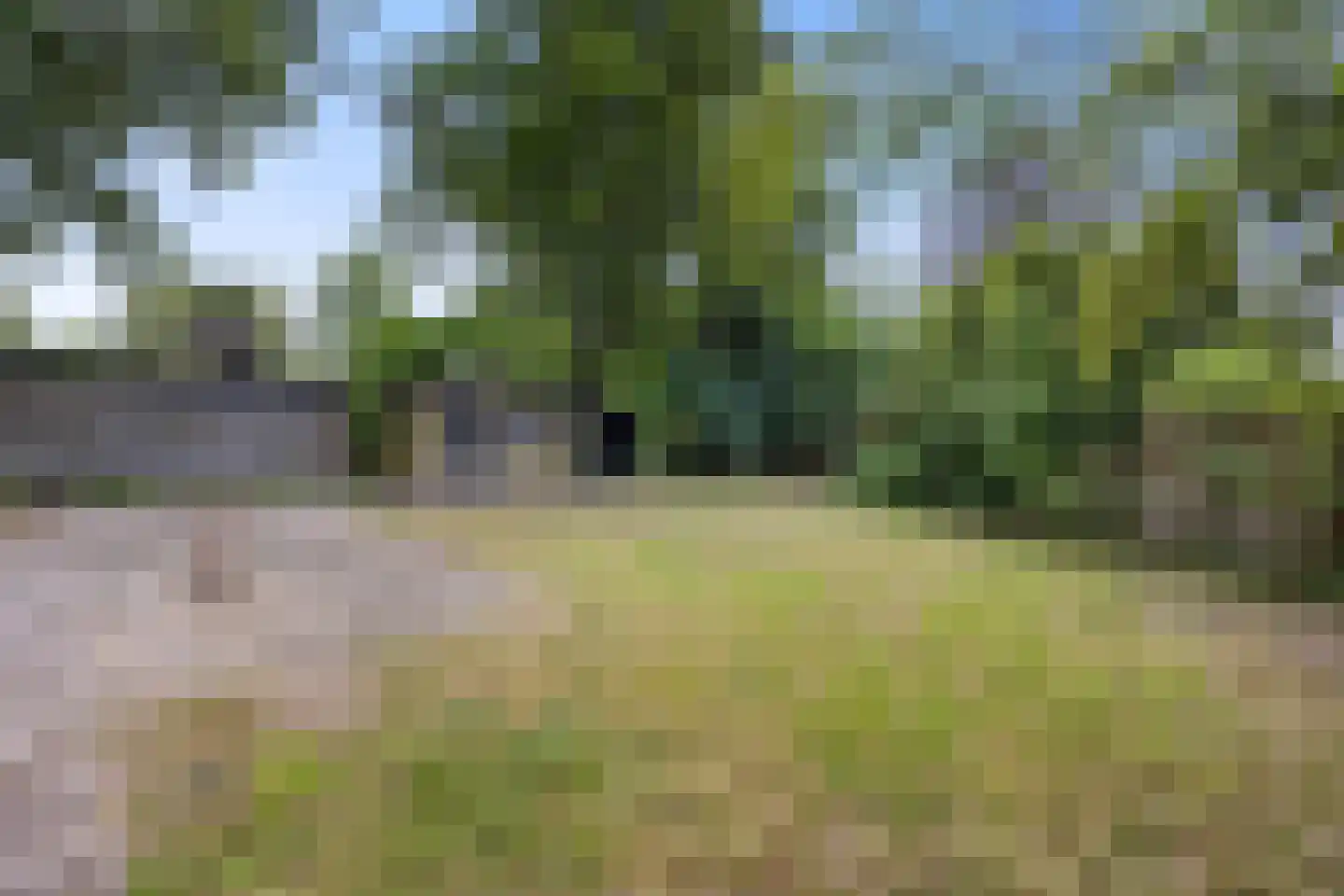 Lange Zuiderweg 134 58 Voorthuizen foto 3