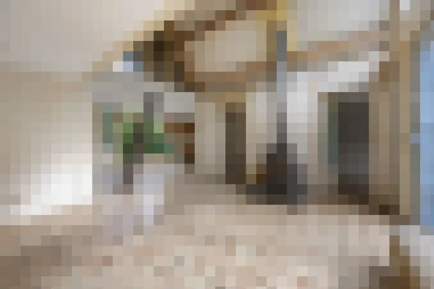 Lange Zuiderweg 134 58 Voorthuizen thumbnail 5