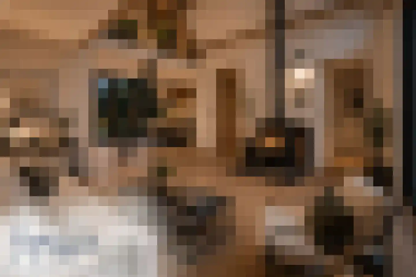 Lange Zuiderweg 134 58 Voorthuizen thumbnail 6