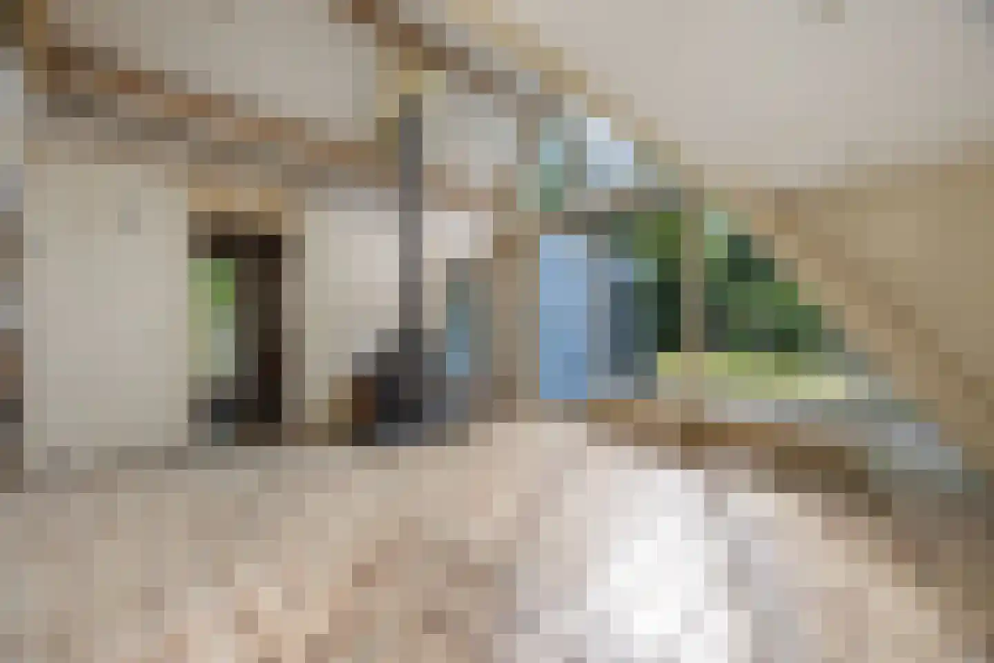 Lange Zuiderweg 134 58 Voorthuizen thumbnail 8