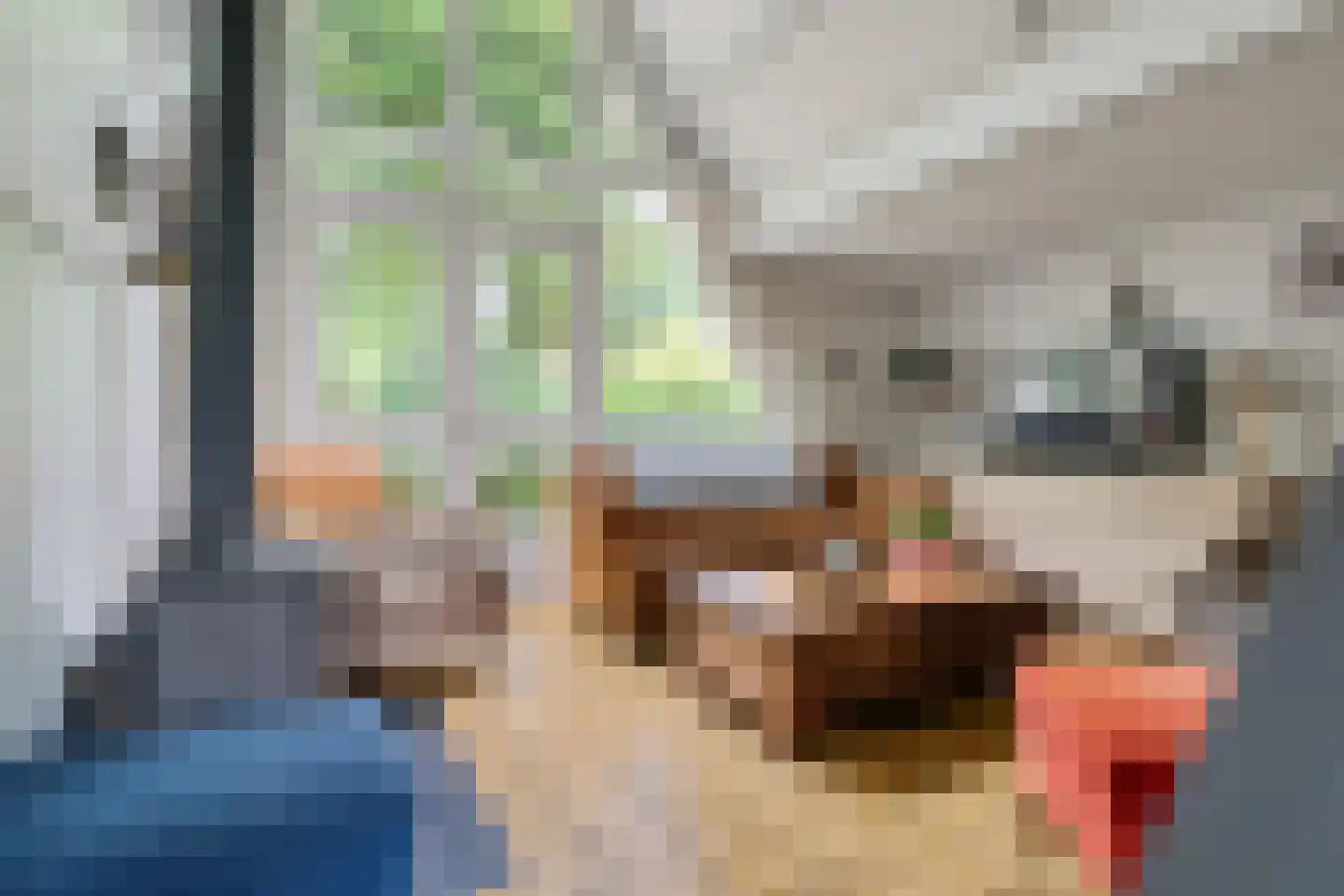 Lange Zuiderweg 134 61 Voorthuizen thumbnail 13