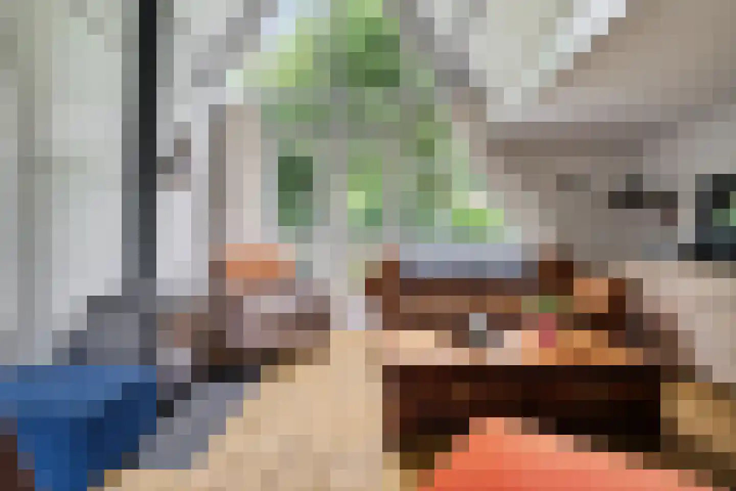 Lange Zuiderweg 134 61 Voorthuizen thumbnail 17