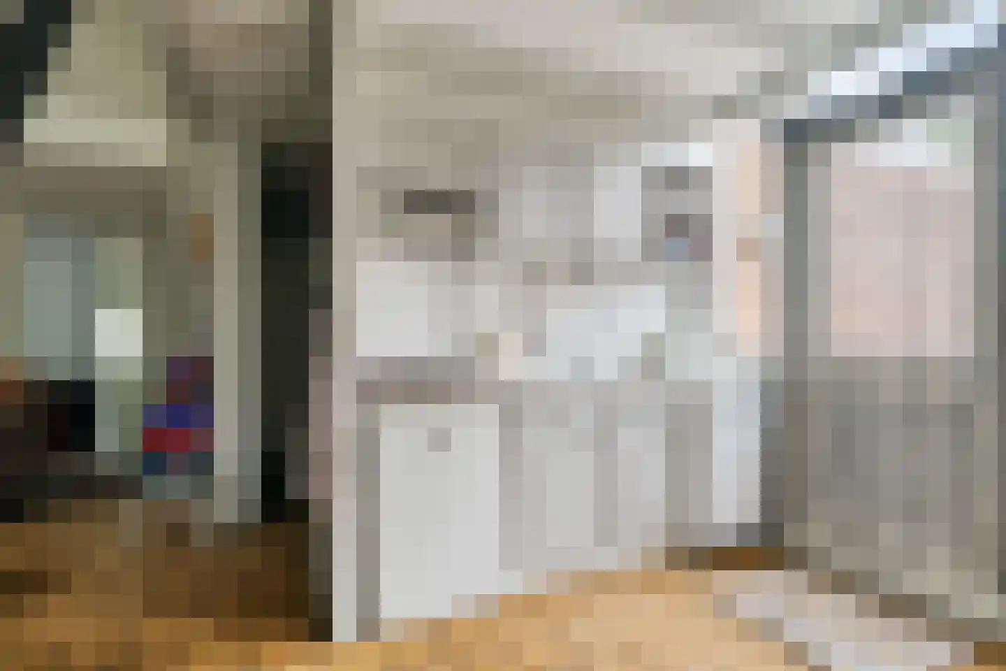 Lange Zuiderweg 134 61 Voorthuizen thumbnail 18