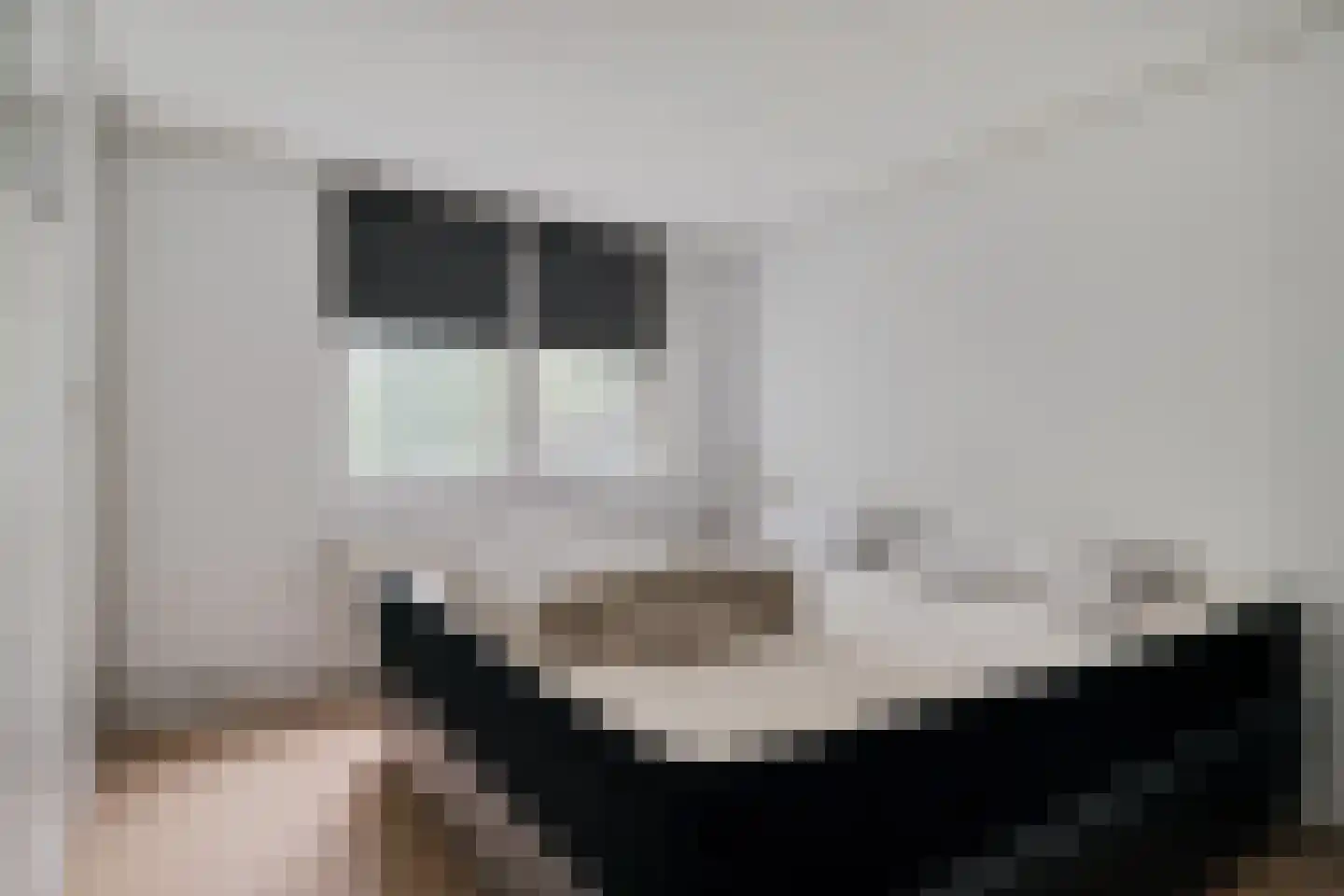 Lange Zuiderweg 134 61 Voorthuizen thumbnail 23