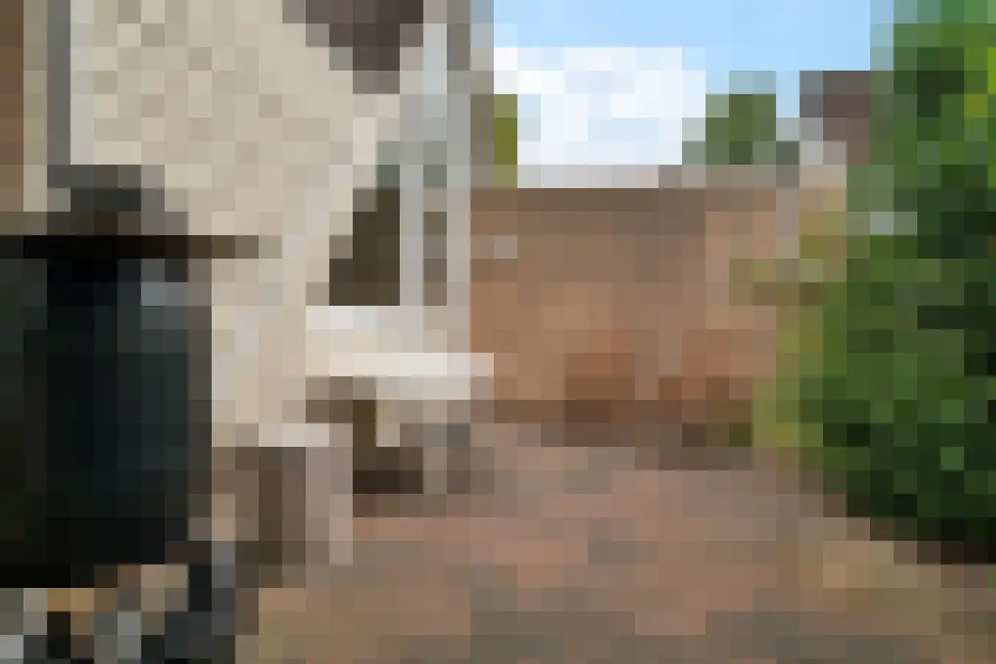 Lange Zuiderweg 134 61 Voorthuizen thumbnail 32