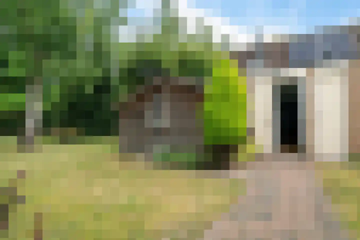 Lange Zuiderweg 134 61 Voorthuizen thumbnail 9