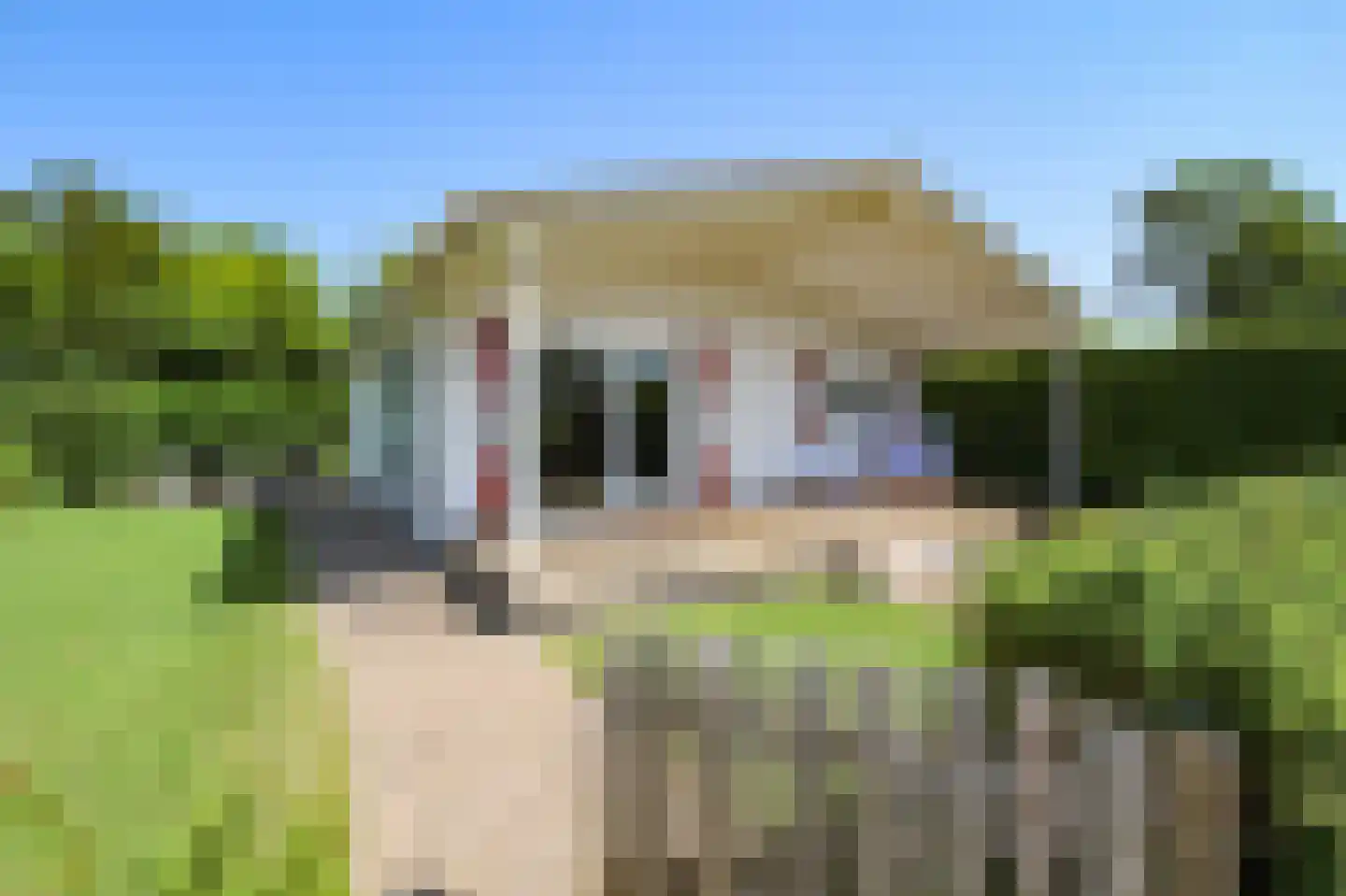 Lange Zuiderweg 142 911 Voorthuizen thumbnail 22