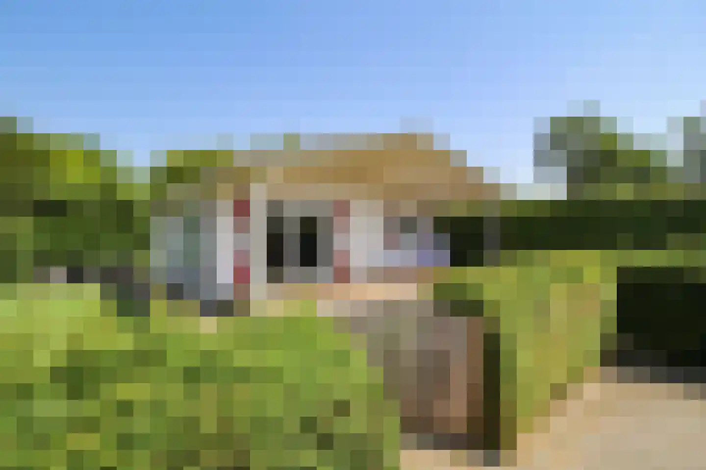 Lange Zuiderweg 142 911 Voorthuizen thumbnail 23