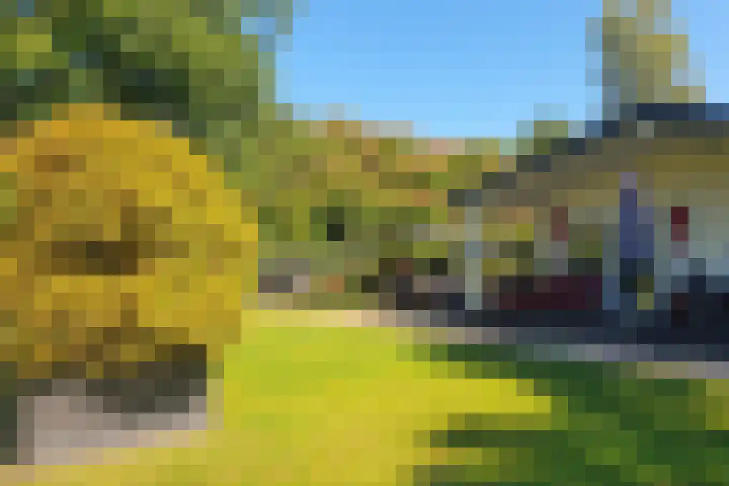 Lange Zuiderweg 142 918 Voorthuizen thumbnail 20