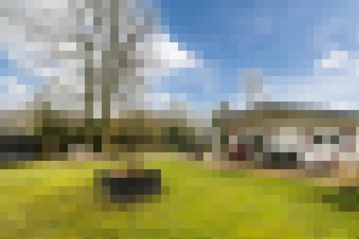 Lange Zuiderweg 142 918 Voorthuizen thumbnail 23