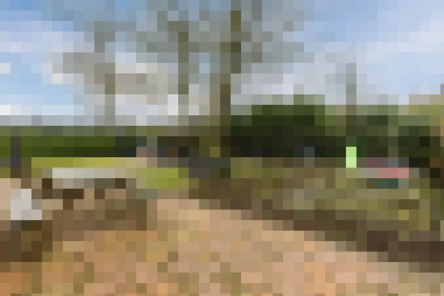 Lange Zuiderweg 142 918 Voorthuizen thumbnail 24
