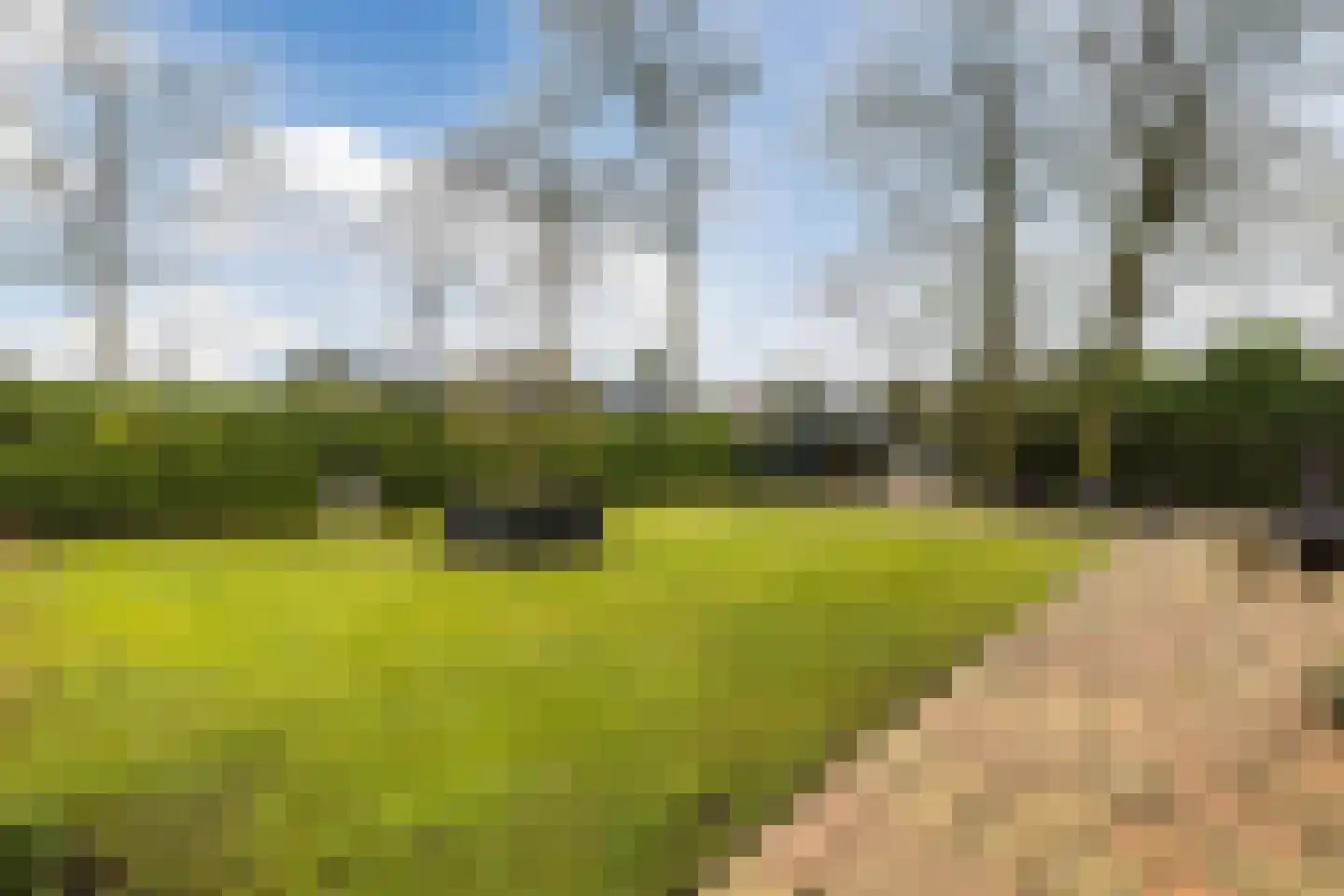 Lange Zuiderweg 142 918 Voorthuizen thumbnail 27