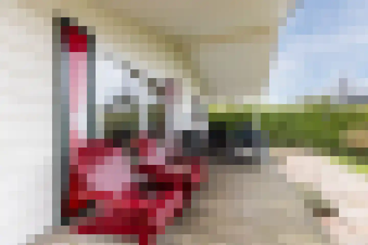 Lange Zuiderweg 142 918 Voorthuizen thumbnail 28