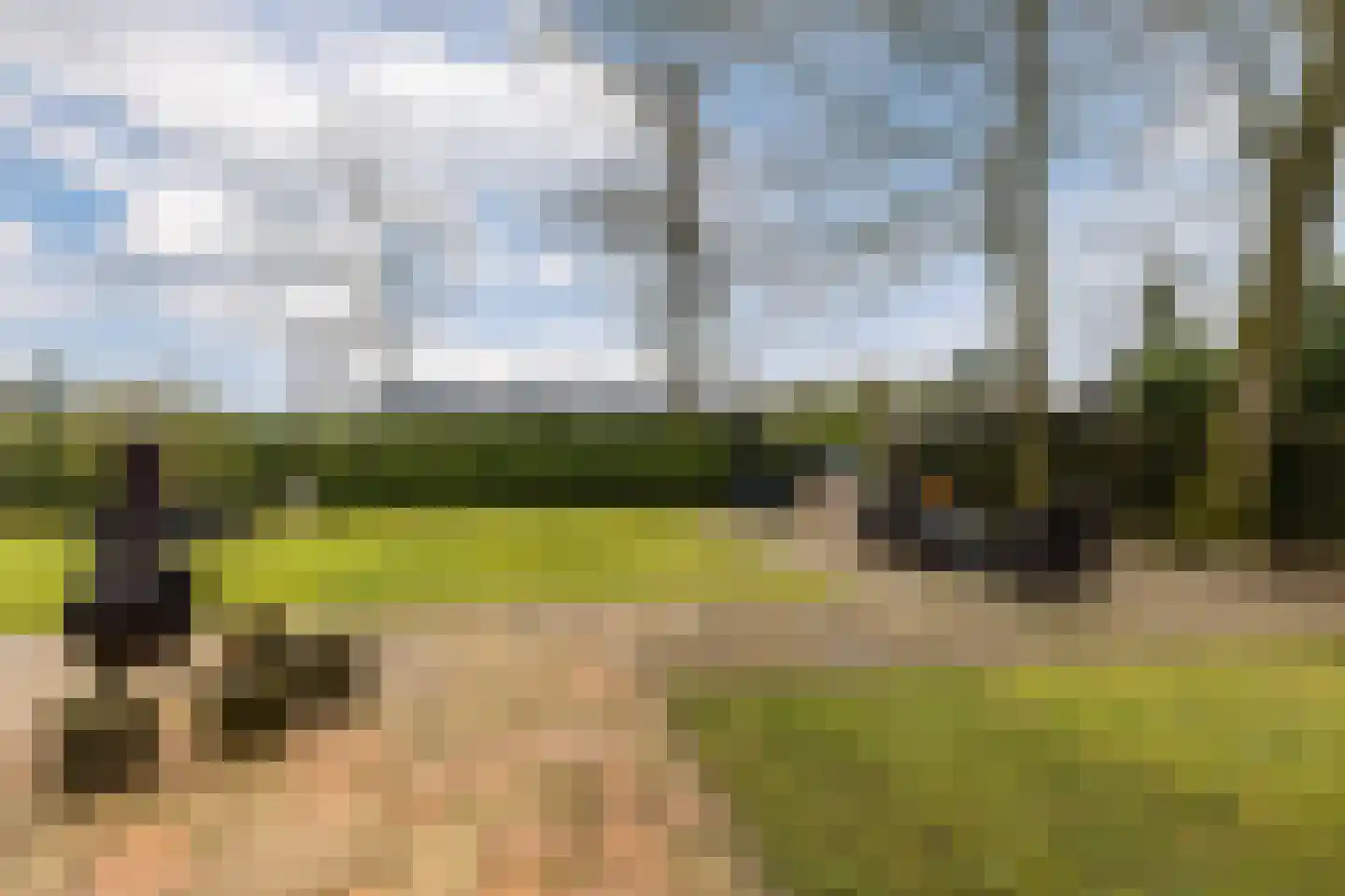 Lange Zuiderweg 142 918 Voorthuizen thumbnail 29