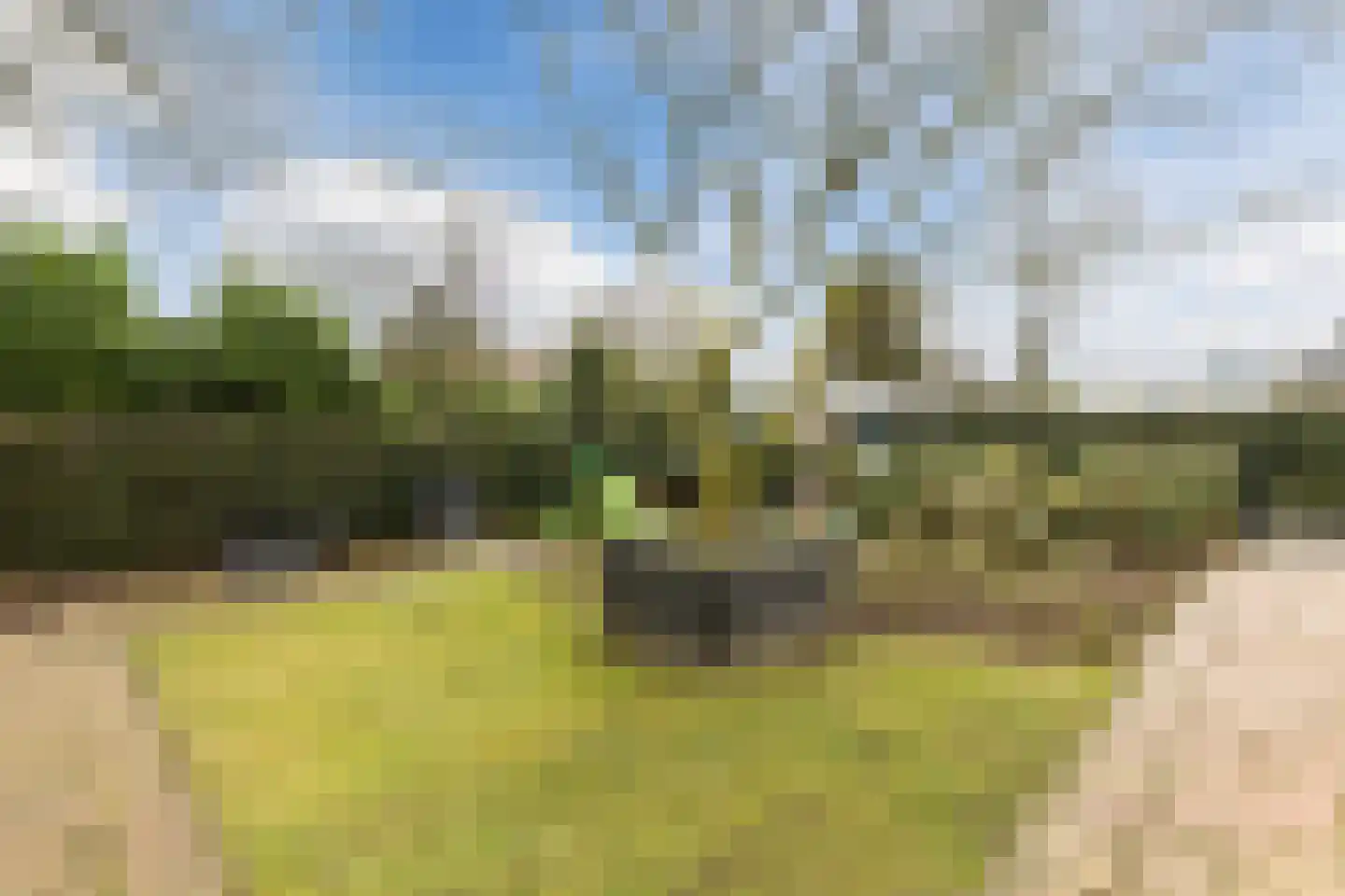Lange Zuiderweg 142 918 Voorthuizen thumbnail 31