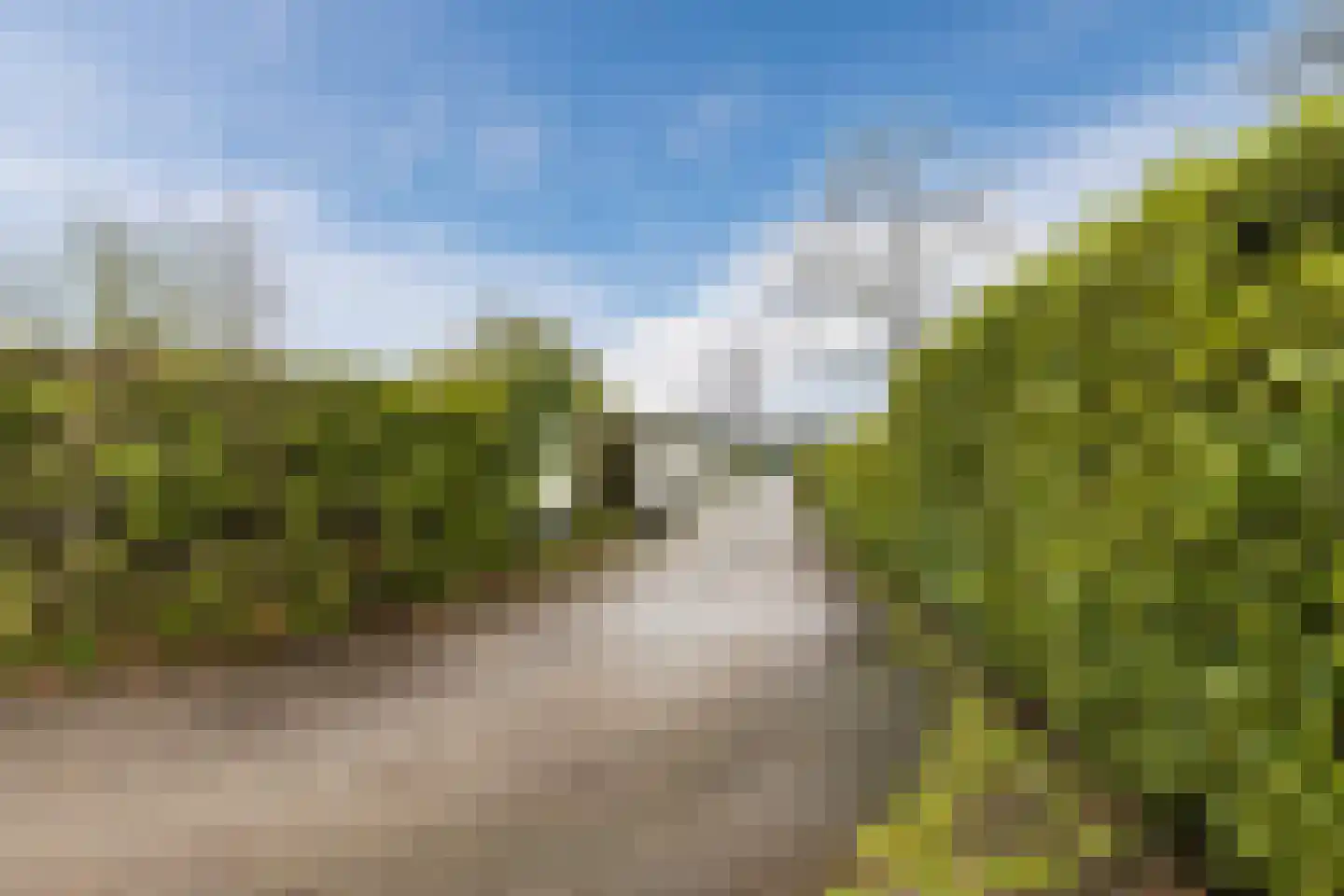Lange Zuiderweg 142 918 Voorthuizen thumbnail 38