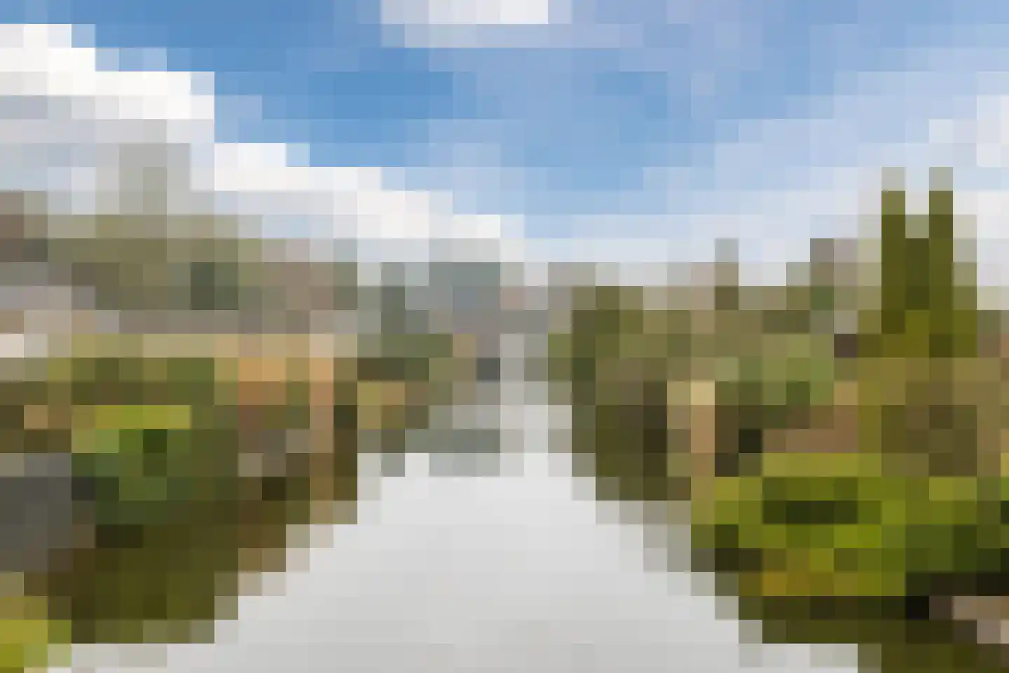 Lange Zuiderweg 142 918 Voorthuizen thumbnail 39