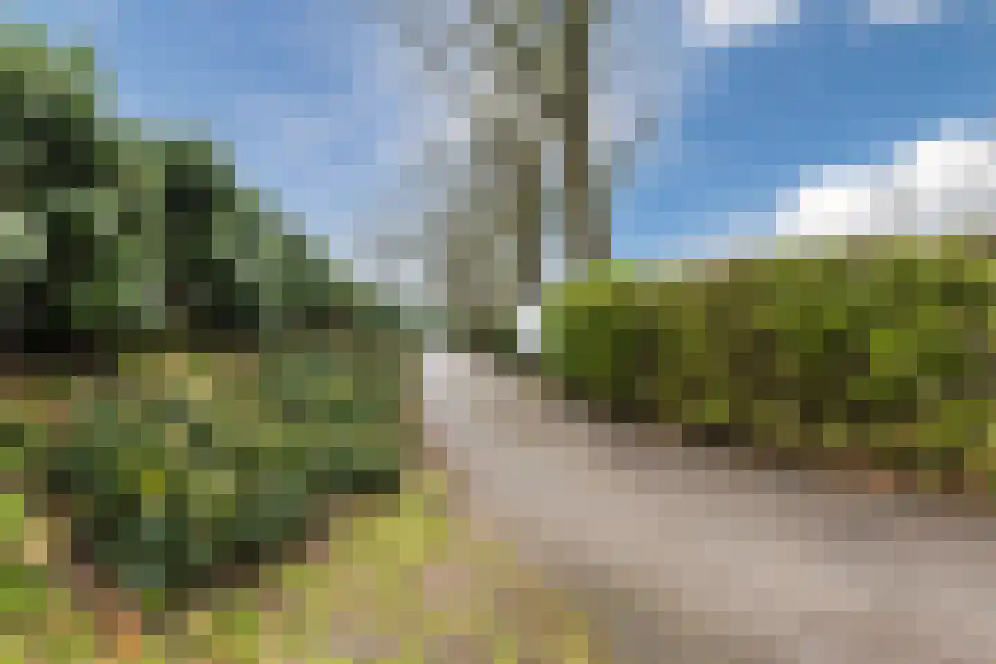Lange Zuiderweg 142 918 Voorthuizen thumbnail 39