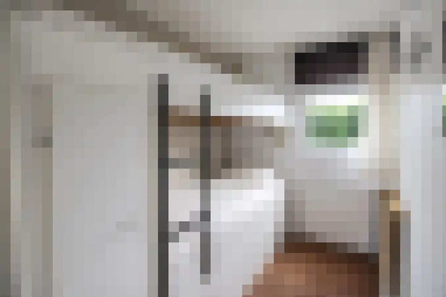 Lange Zuiderweg 142 924 Voorthuizen thumbnail 12