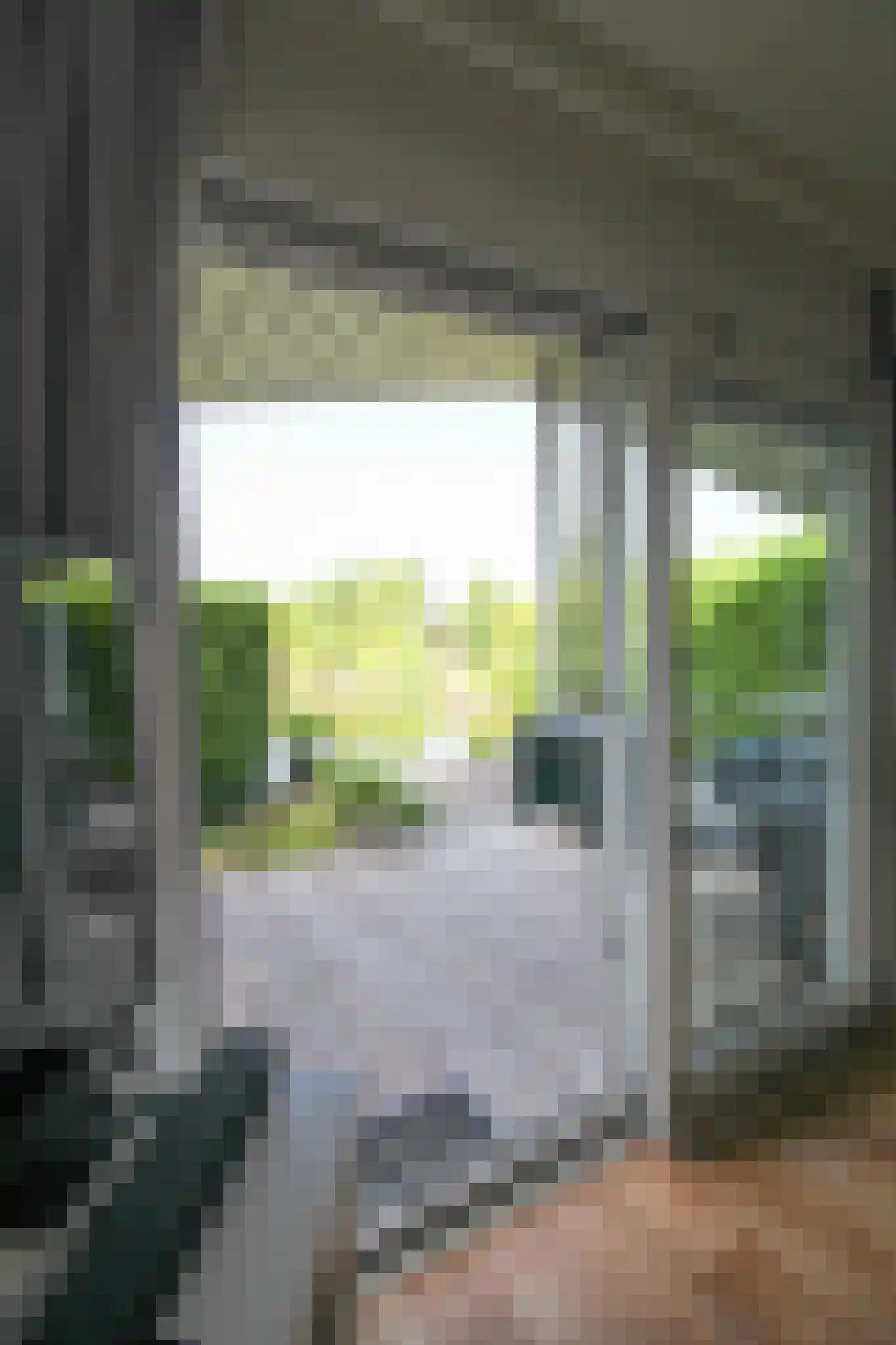 Lange Zuiderweg 142 924 Voorthuizen thumbnail 15