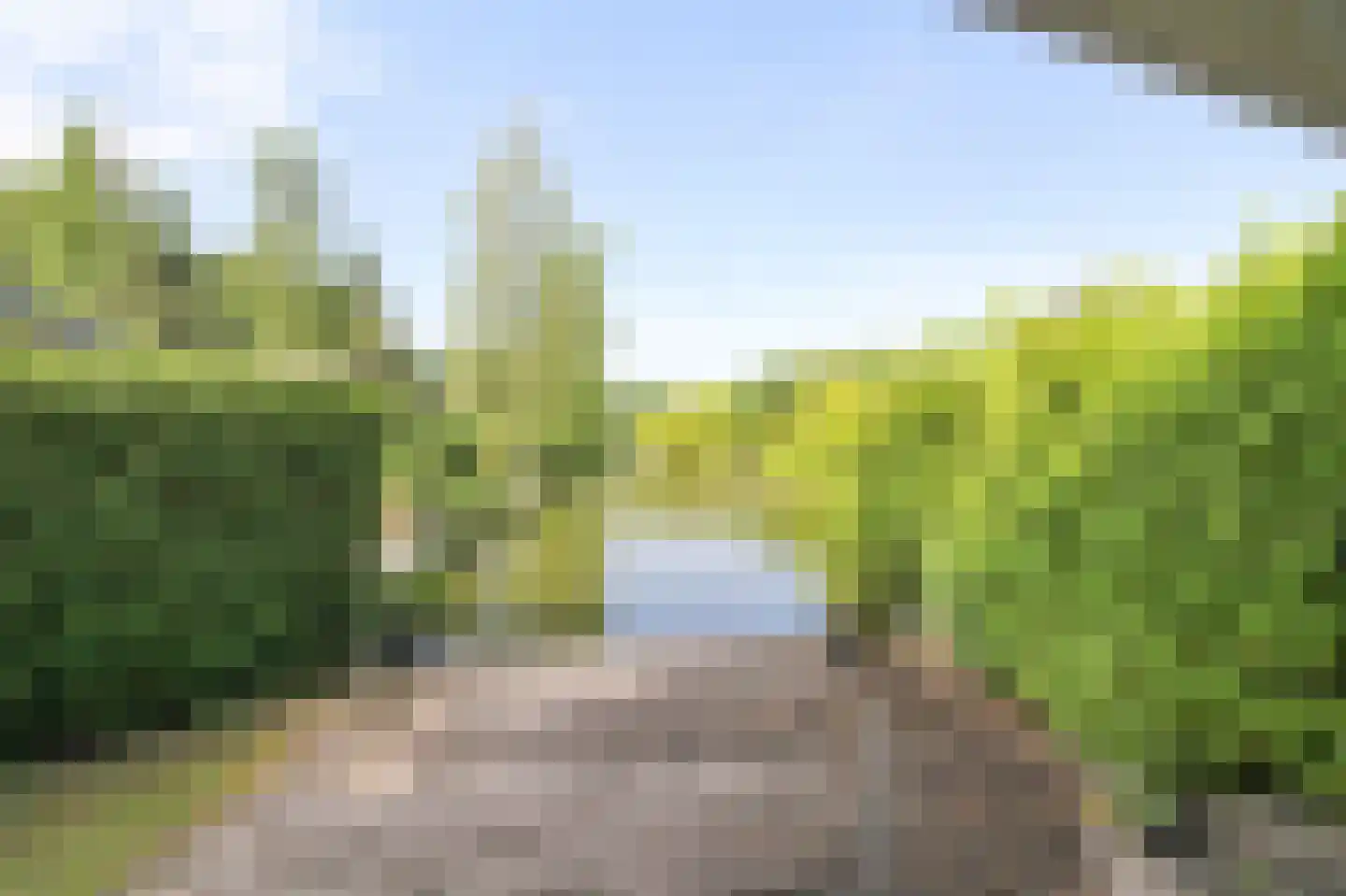 Lange Zuiderweg 142 924 Voorthuizen thumbnail 16