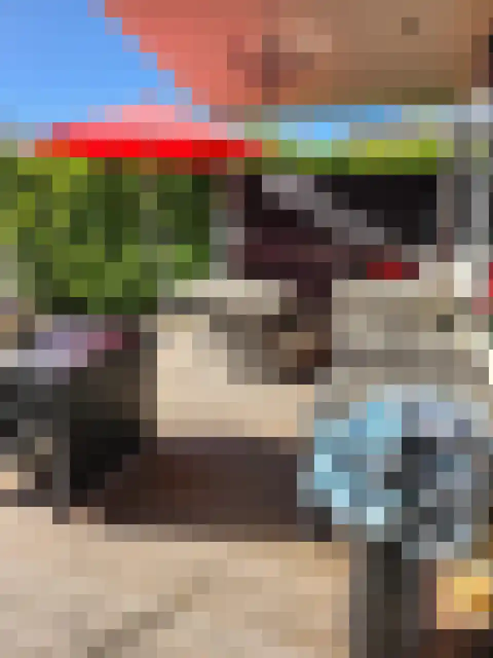 Lange Zuiderweg 142 924 Voorthuizen thumbnail 18