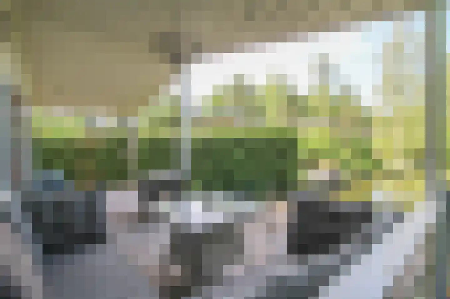 Lange Zuiderweg 142 924 Voorthuizen thumbnail 20
