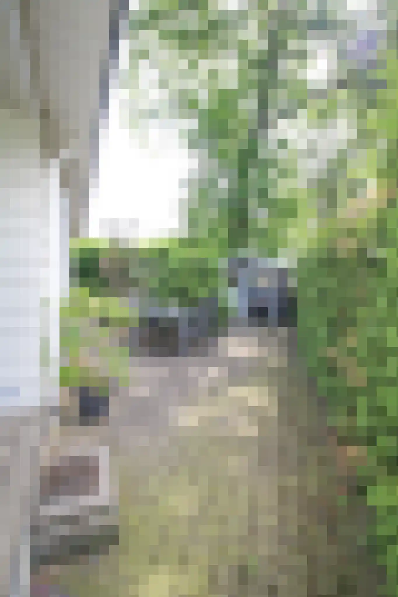 Lange Zuiderweg 142 924 Voorthuizen thumbnail 22