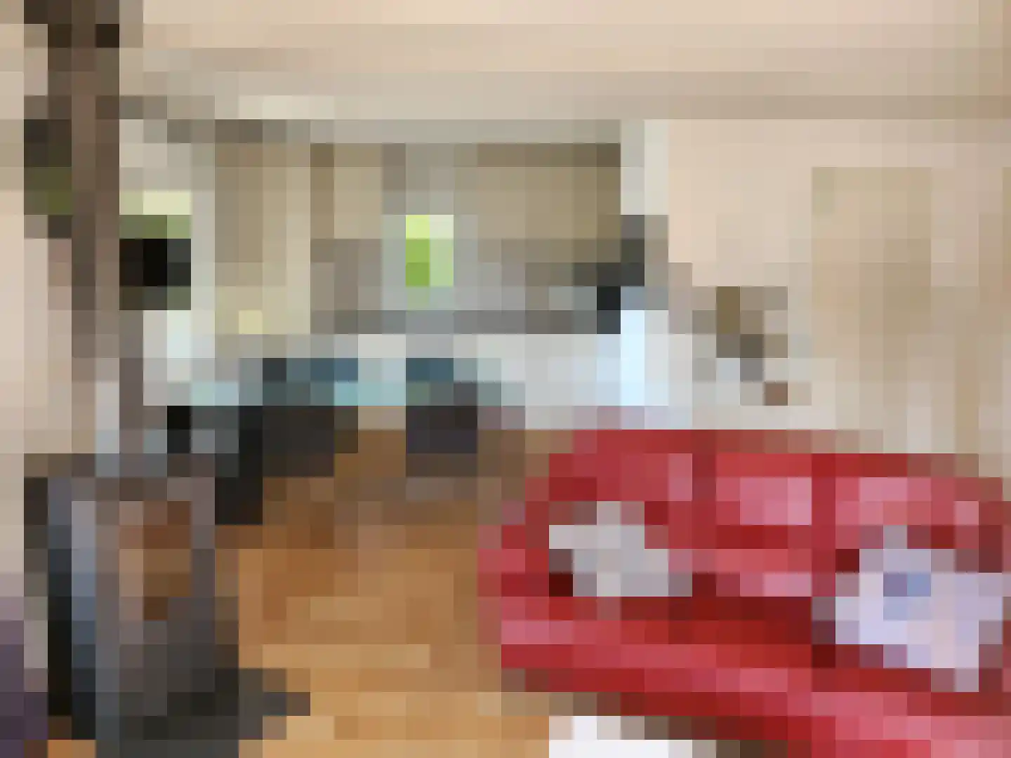 Lange Zuiderweg 142 924 Voorthuizen thumbnail 4