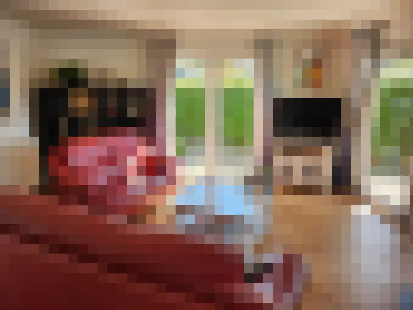 Lange Zuiderweg 142 924 Voorthuizen thumbnail 5