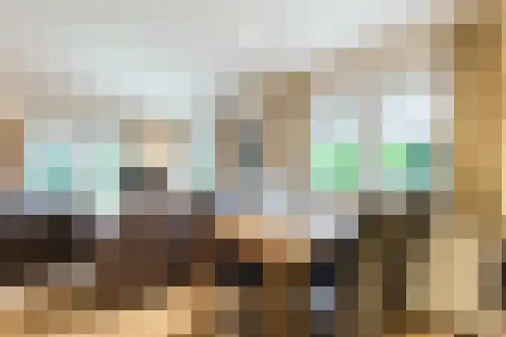 Lange Zuiderweg 142 930 Voorthuizen thumbnail 12