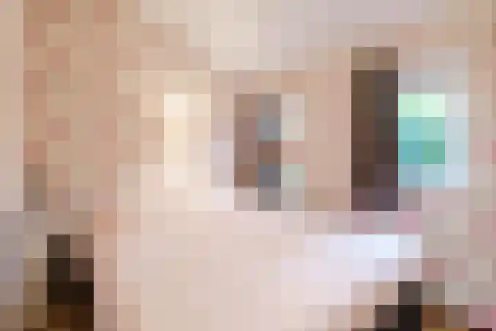 Lange Zuiderweg 142 930 Voorthuizen thumbnail 15