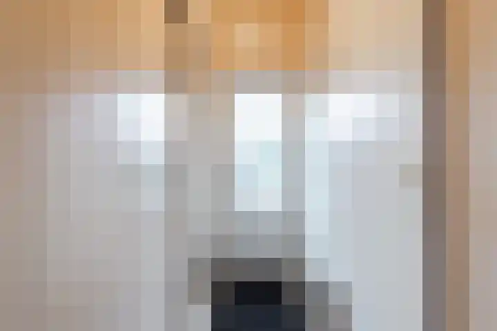 Lange Zuiderweg 142 930 Voorthuizen thumbnail 25