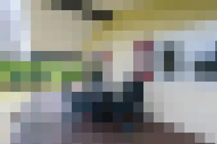Lange Zuiderweg 142 930 Voorthuizen thumbnail 26