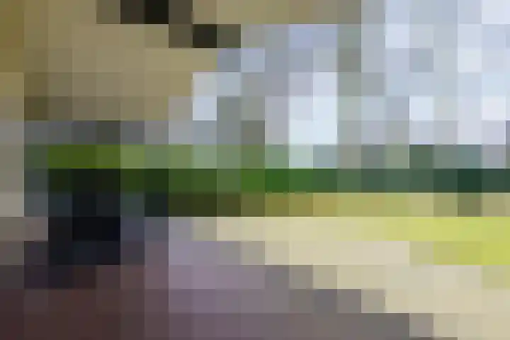Lange Zuiderweg 142 930 Voorthuizen thumbnail 28