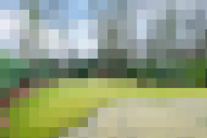 Lange Zuiderweg 142 930 Voorthuizen thumbnail 29