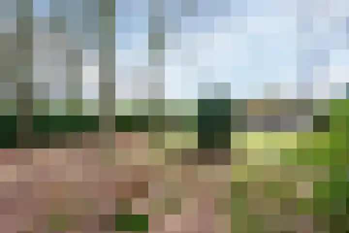 Lange Zuiderweg 142 930 Voorthuizen thumbnail 30