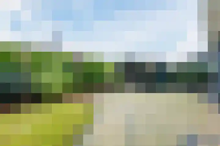 Lange Zuiderweg 142 930 Voorthuizen thumbnail 31
