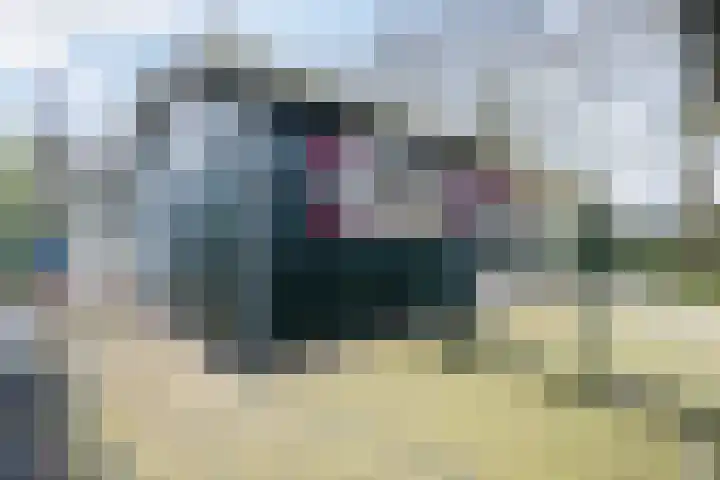 Lange Zuiderweg 142 930 Voorthuizen thumbnail 34