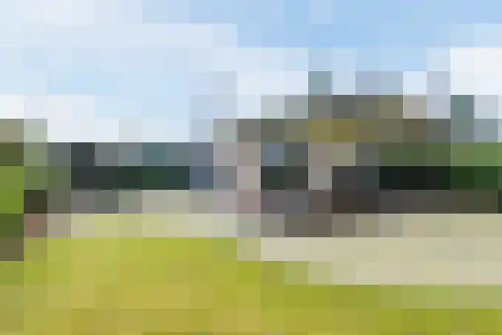 Lange Zuiderweg 142 930 Voorthuizen thumbnail 4