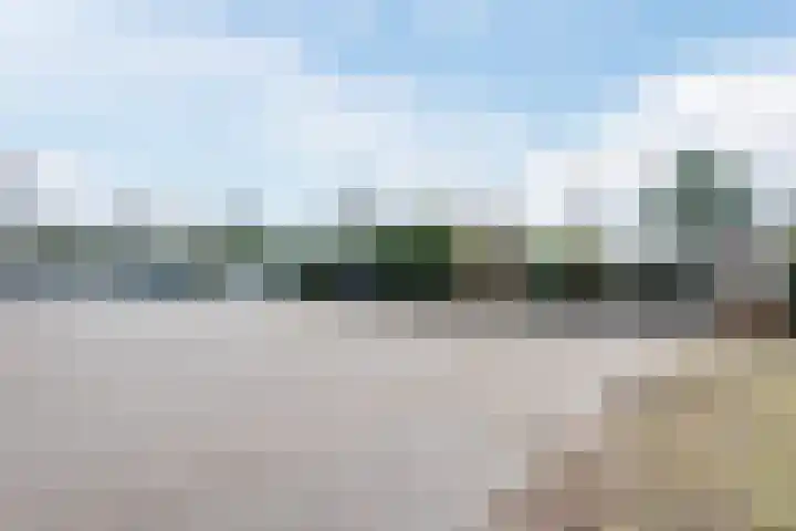 Lange Zuiderweg 142 930 Voorthuizen thumbnail 41