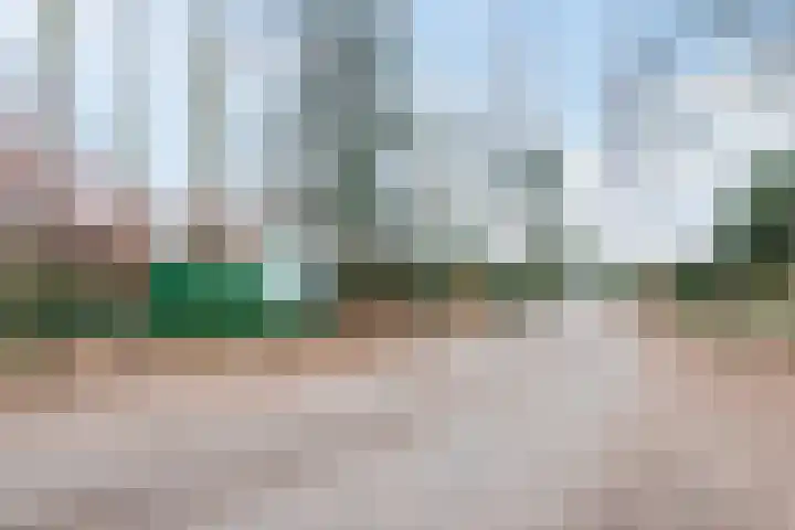 Lange Zuiderweg 142 930 Voorthuizen thumbnail 42